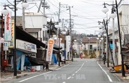 Chính phủ Nhật bị yêu cầu bồi thường cho nạn nhân thảm họa động đất - sóng thần 